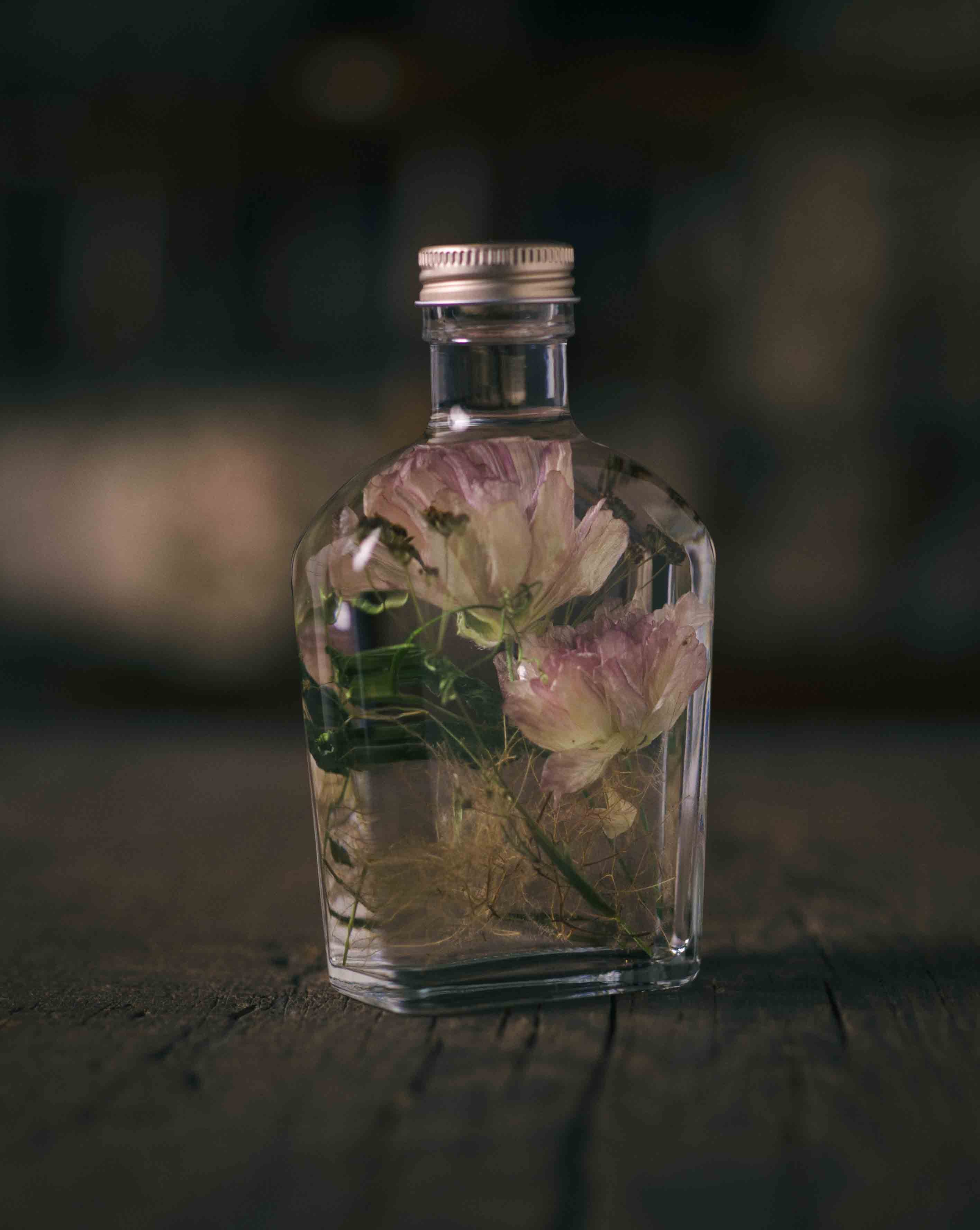 植物標本 ハーバリウム ラナンキュラスラックス スモークピンク Herbarium Ranunculus Smokepink She Is Matilda 植物標本 ハーバリウム ラナンキュラスラックス スモークピンク Herbarium Ranunculus Smokepink She Is Matilda