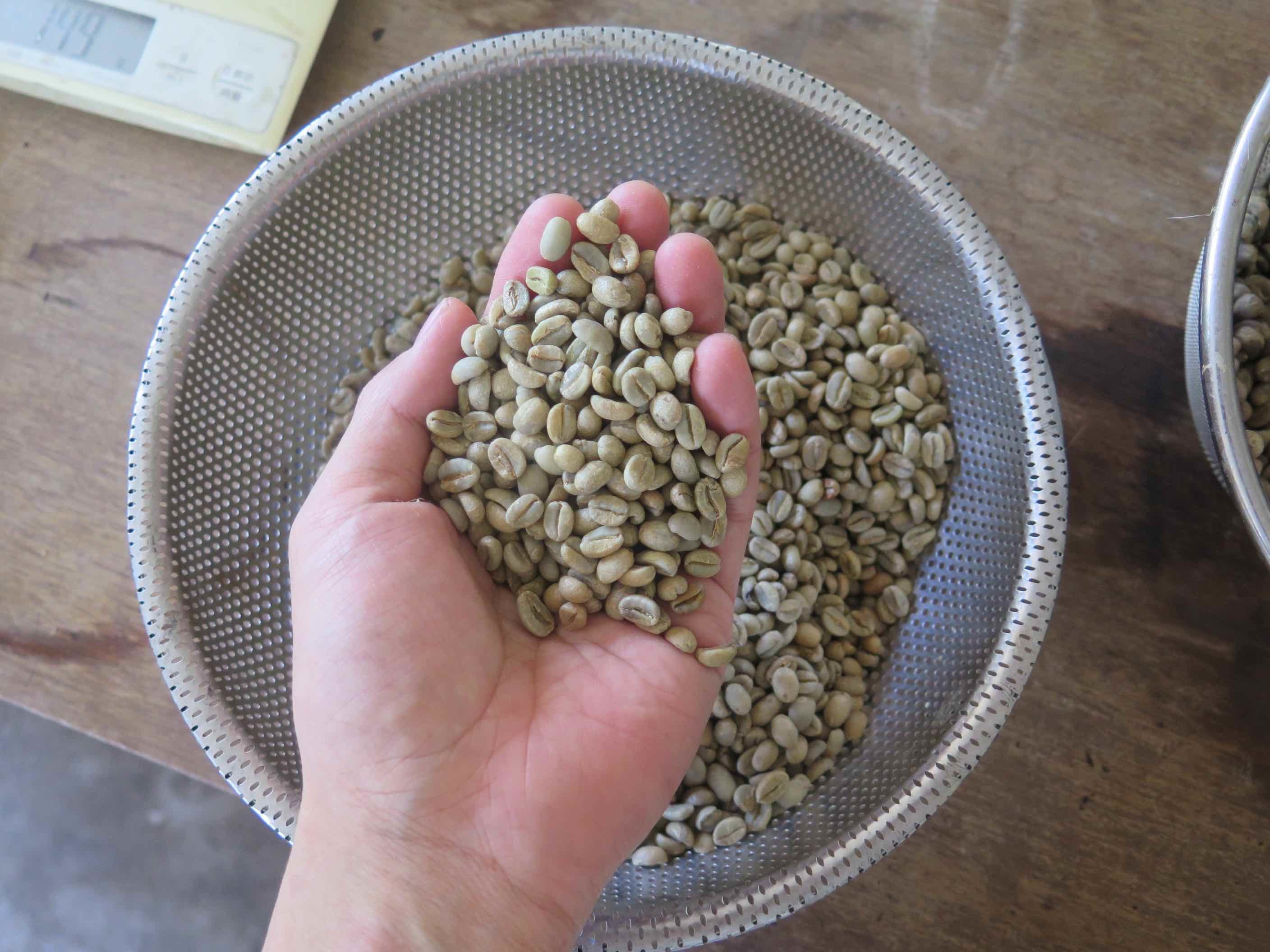 土鍋焙煎 ニドムブレンド コーヒー豆 100g - 画像2
