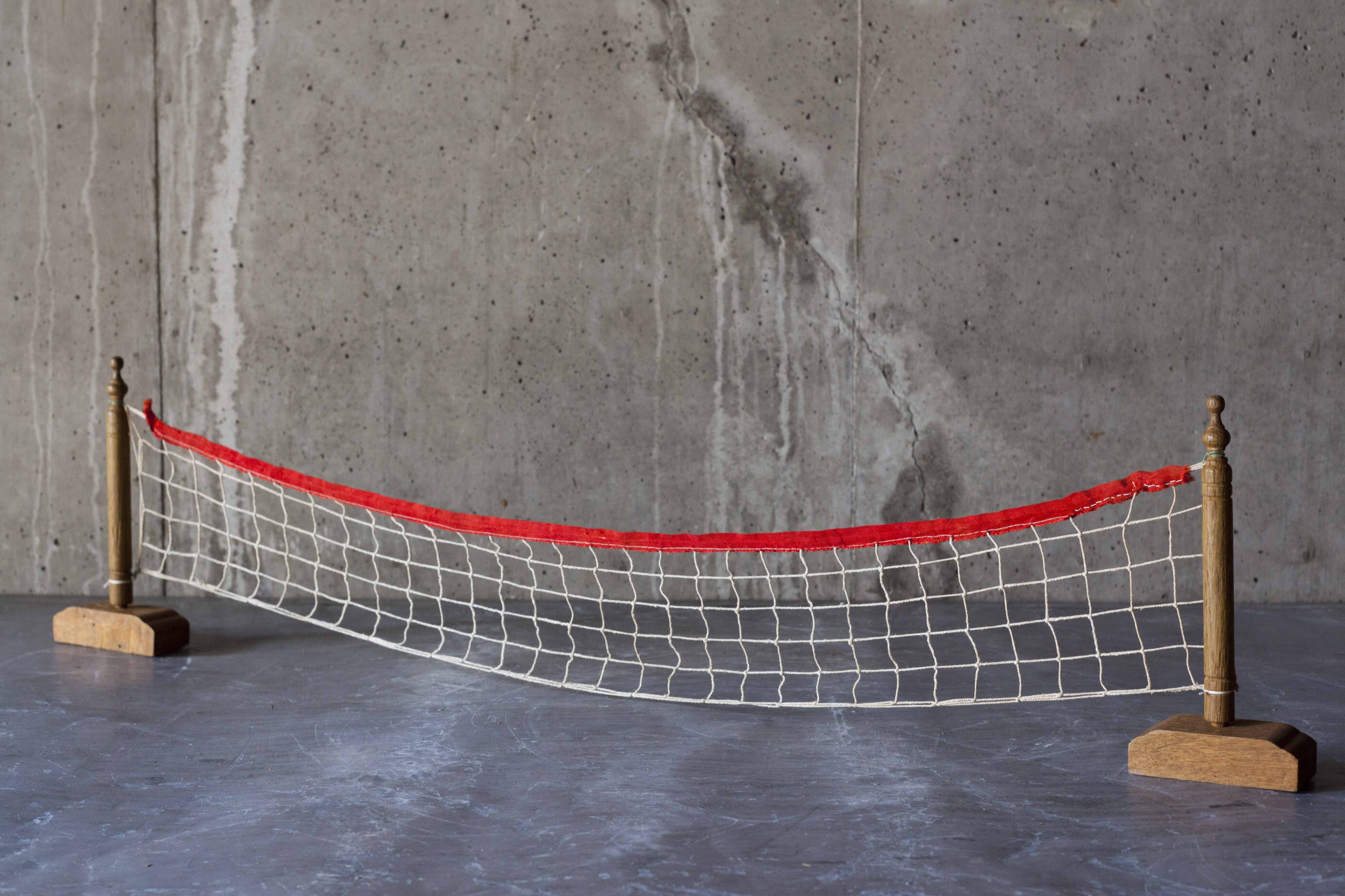 卓球ネット Sowgen