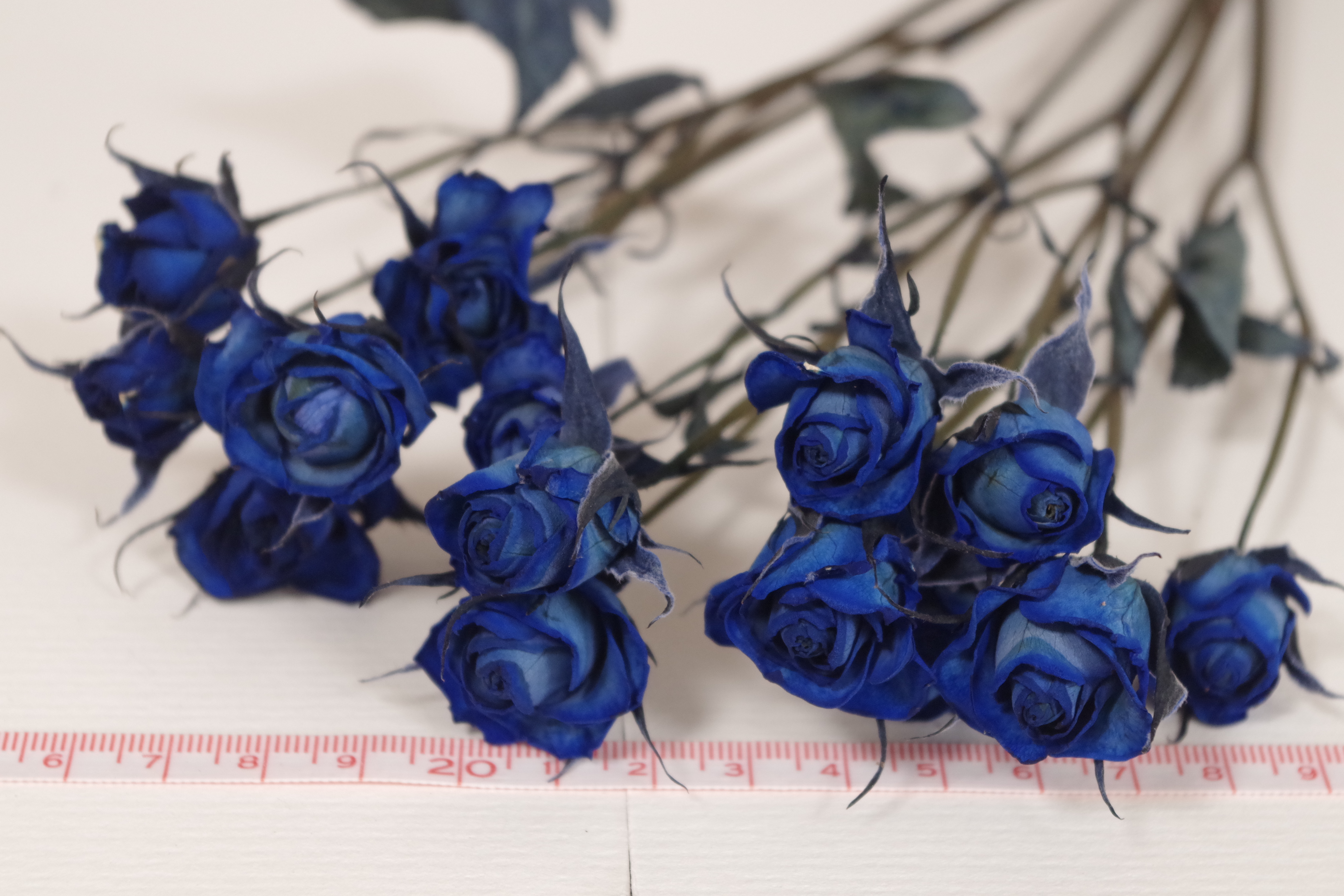 スプレーバラ 青色 No 7002 ゆーなの花ワゴン