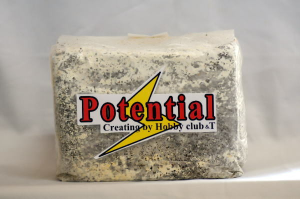 Po 菌糸ブロック 10個セット 昆虫専門店ホビー倶楽部