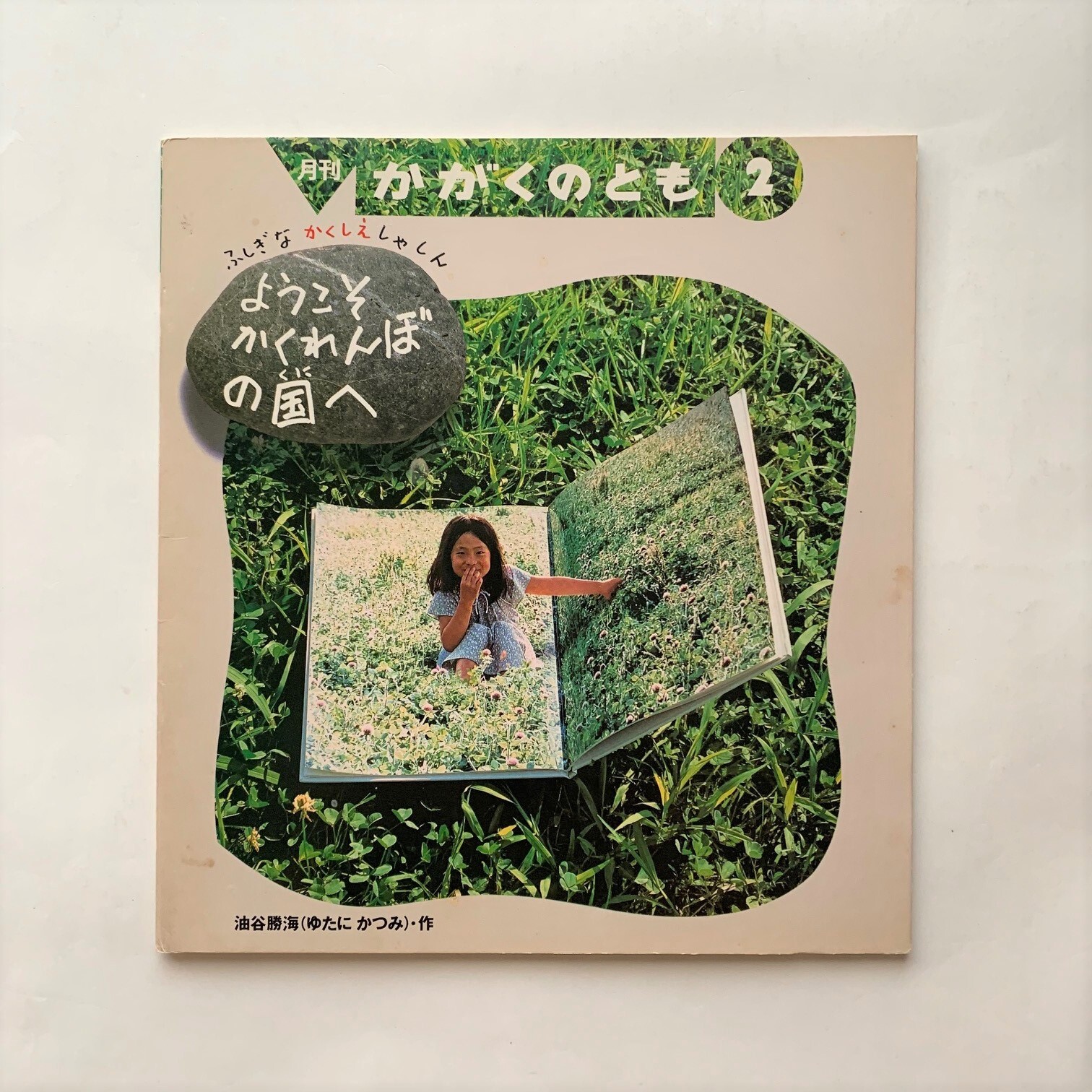 ようこそ かくれんぼの国 ふしぎな かくしえ しゃしん かがくのとも251号 本まるさんかくしかく ようこそ かくれんぼの国 ふしぎな かくしえ しゃしん かがくのとも251号 本まるさんかくしかく