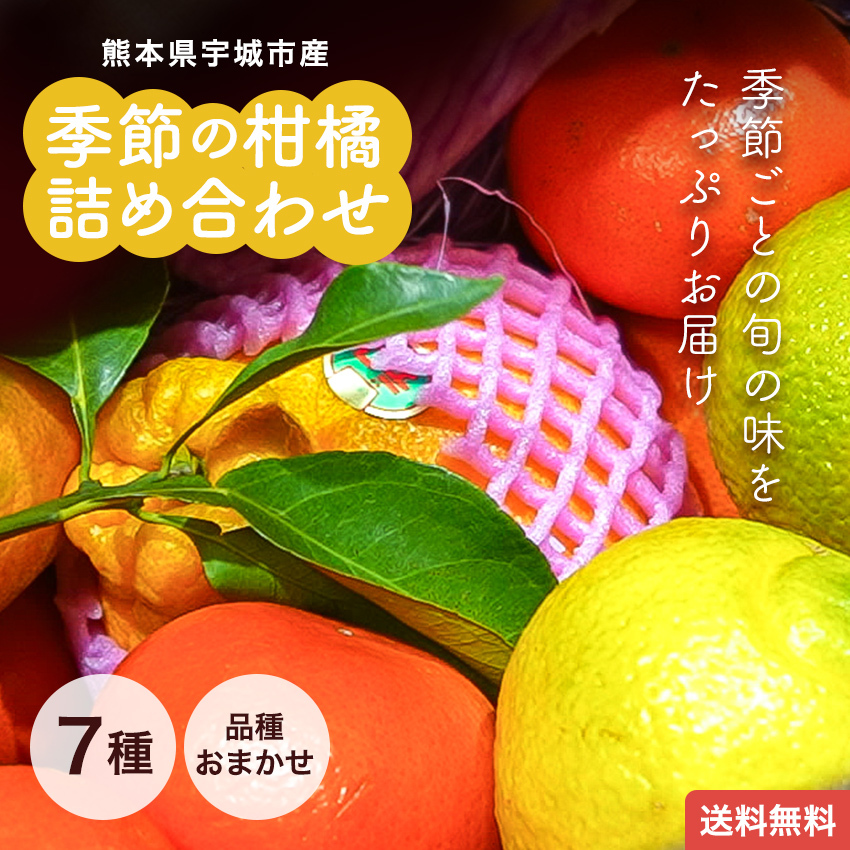 熊本県宇城市産 季節の柑橘詰め合わせ 2kg 7種 送料無料 不知火 みかん スウィートスプリング はるか みはや 早香 はるみ 晩白柚 など(※季節により種類は異なります)