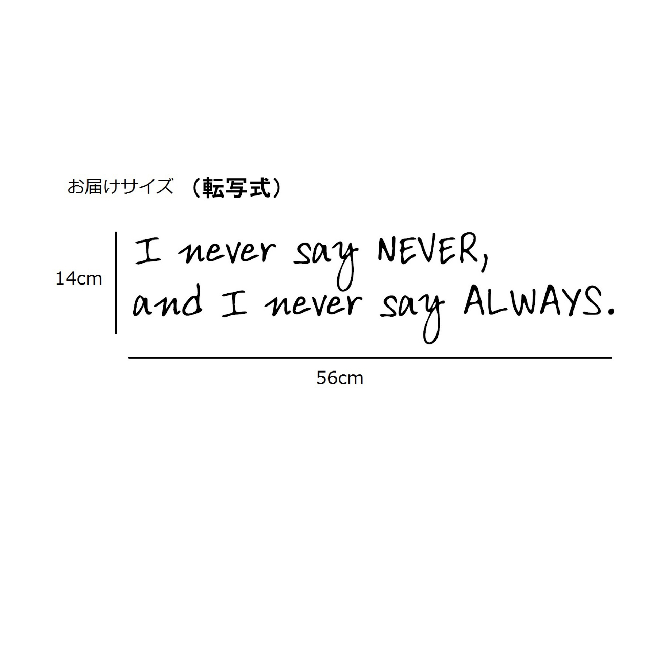 ウォールステッカー 英字 名言 英語 I Never Say Never And I Never Say Always 14 X 56 Cm 黒 光沢 Iby アイバイ ウォールステッカー 通販