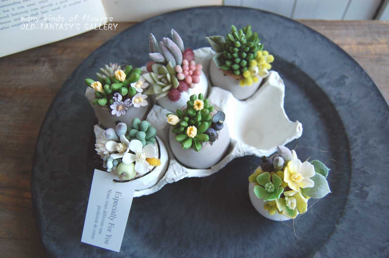 可愛い多肉植物 小花 たまごモチーフポット T401 Oldfantasy 可愛い多肉植物 小花 たまごモチーフポット T401 Oldfantasy