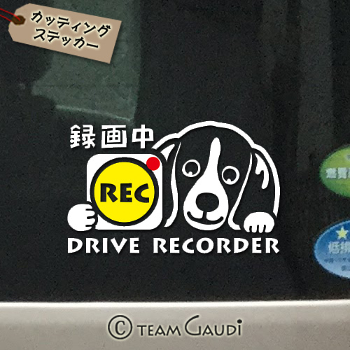 ドラレコ ステッカー ビーグル 犬 デザインa ミックス犬 ドライブレコーダー録画中 煽り運転防止 シール 工房 Team Gaudi