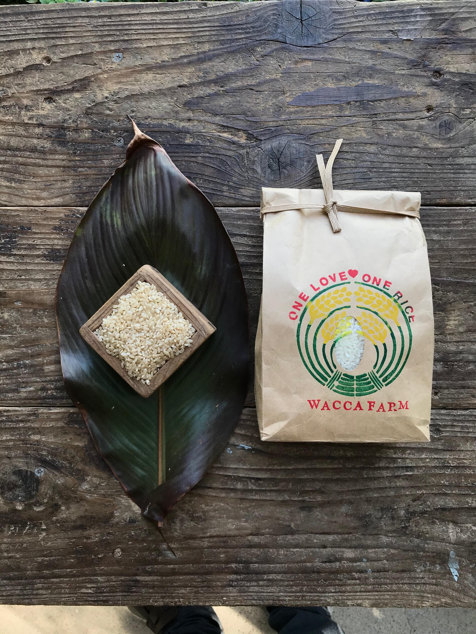 自然栽培米10kg ひのひかり きぬむすめ 玄米 5分 7分 白米 Waccafarm