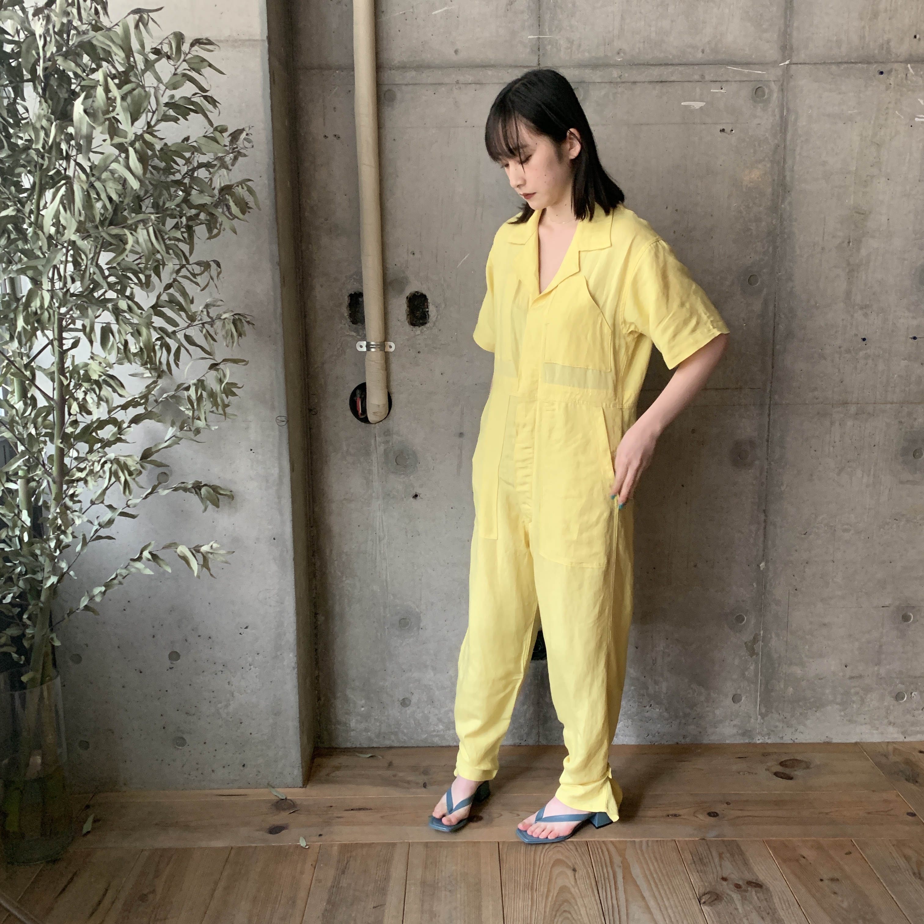 cece jumpsuit