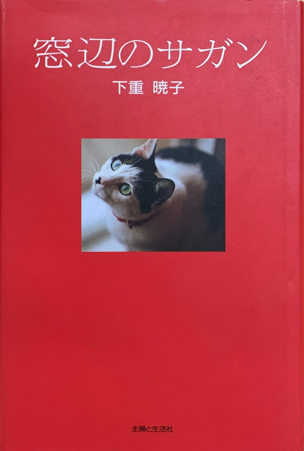 窓辺のサガン 単行本 猫本サロン 京都三条サクラヤ 窓辺のサガン 単行本 猫本サロン 京都三条サクラヤ