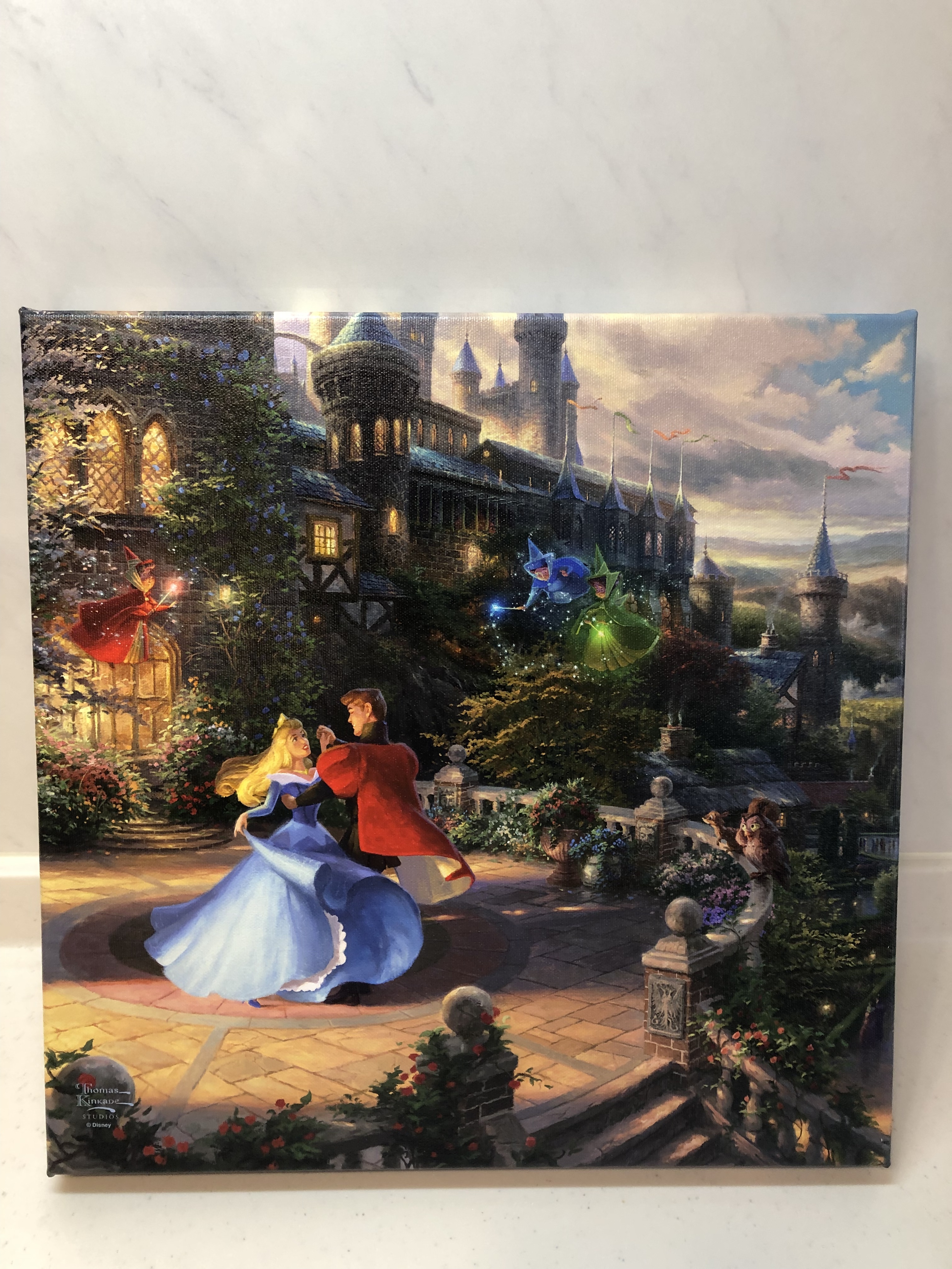 トーマスキンケードディズニー絵画オーロラ姫new Fairytale3