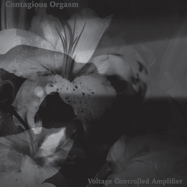 Contagious Orgasm - Voltage Controlled Amplifier 2CD - 画像1