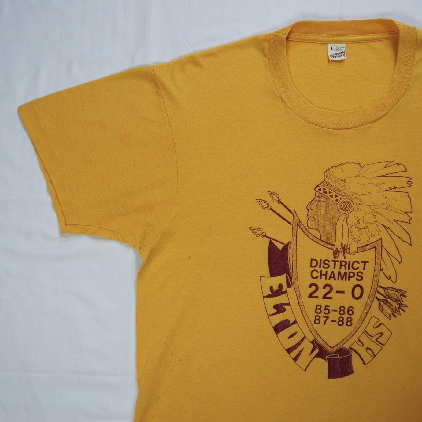 80’s スクリーンスターズ プリントTシャツ Lサイズ ネイティブアメリカン の画像 3