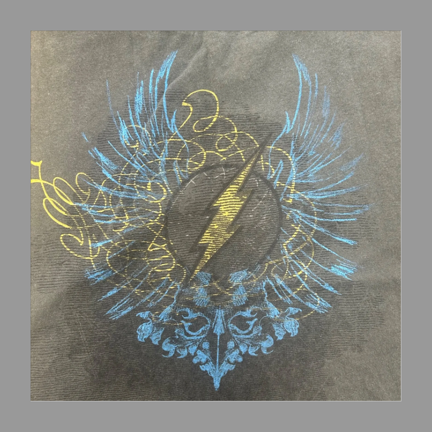Y2K The Flash DC Comics T 2XL の画像 5