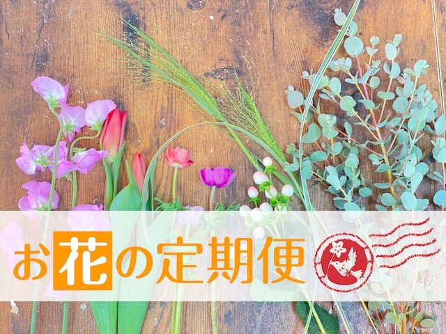 母の日(2023) お花の定期便(春夏秋冬4回・季節の切り花を配達)