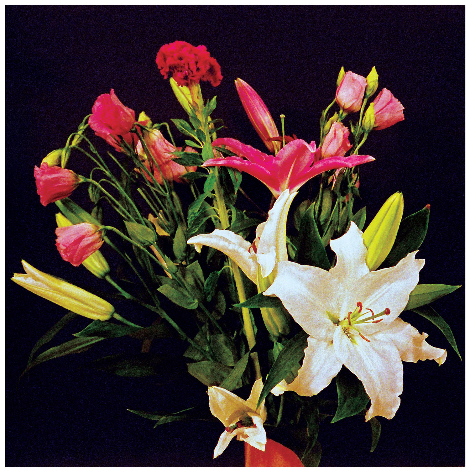John Wiese - GGA CD - 画像1
