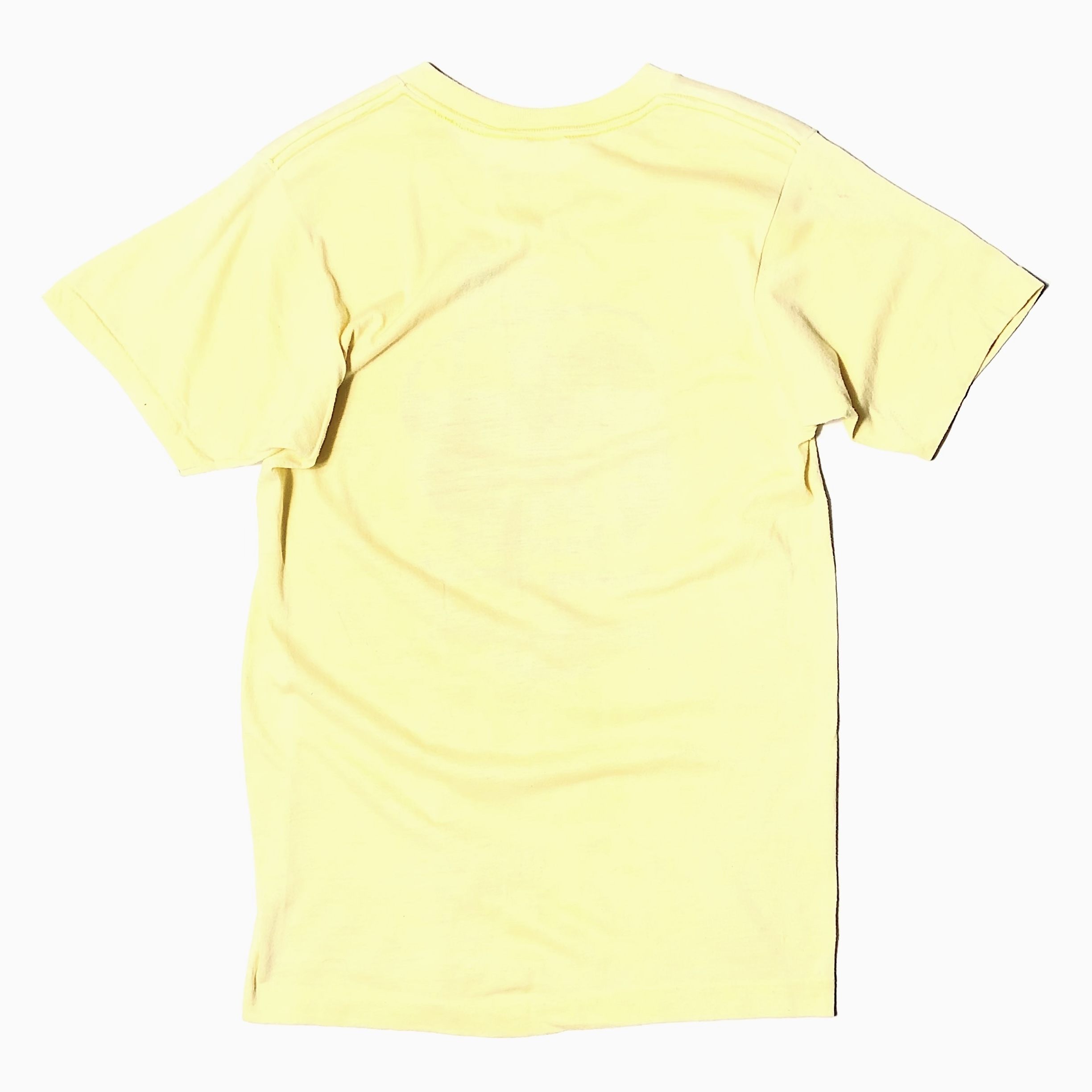 Vintage 80's "I Survived Spring Break!" T-shirt の画像 2