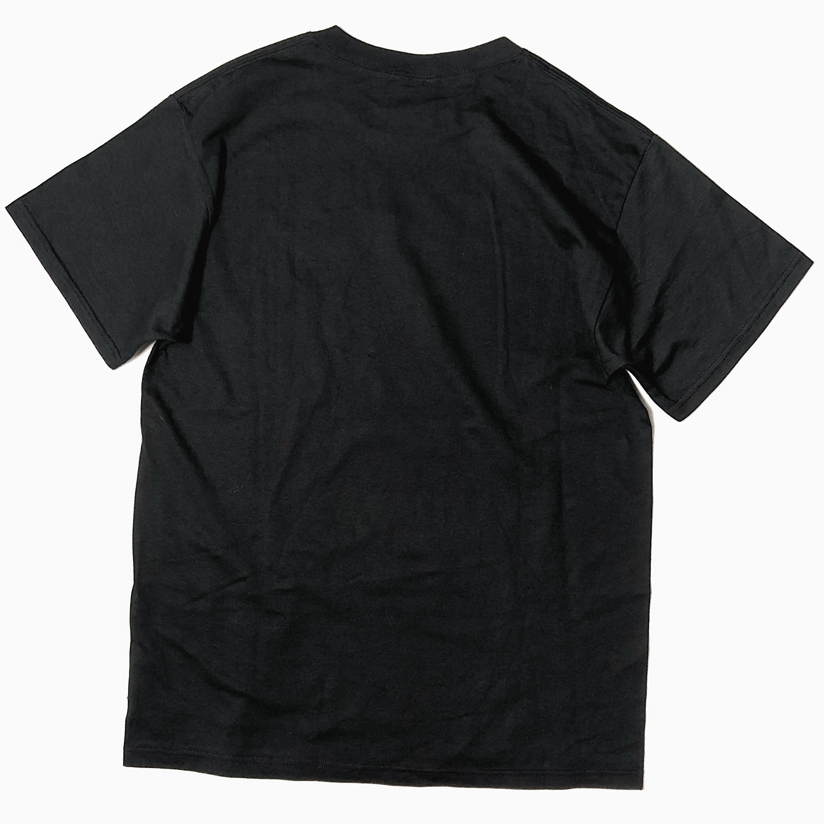 Y2K【FRUIT OF THE LOOM】"spank me" T-shirt の画像 2