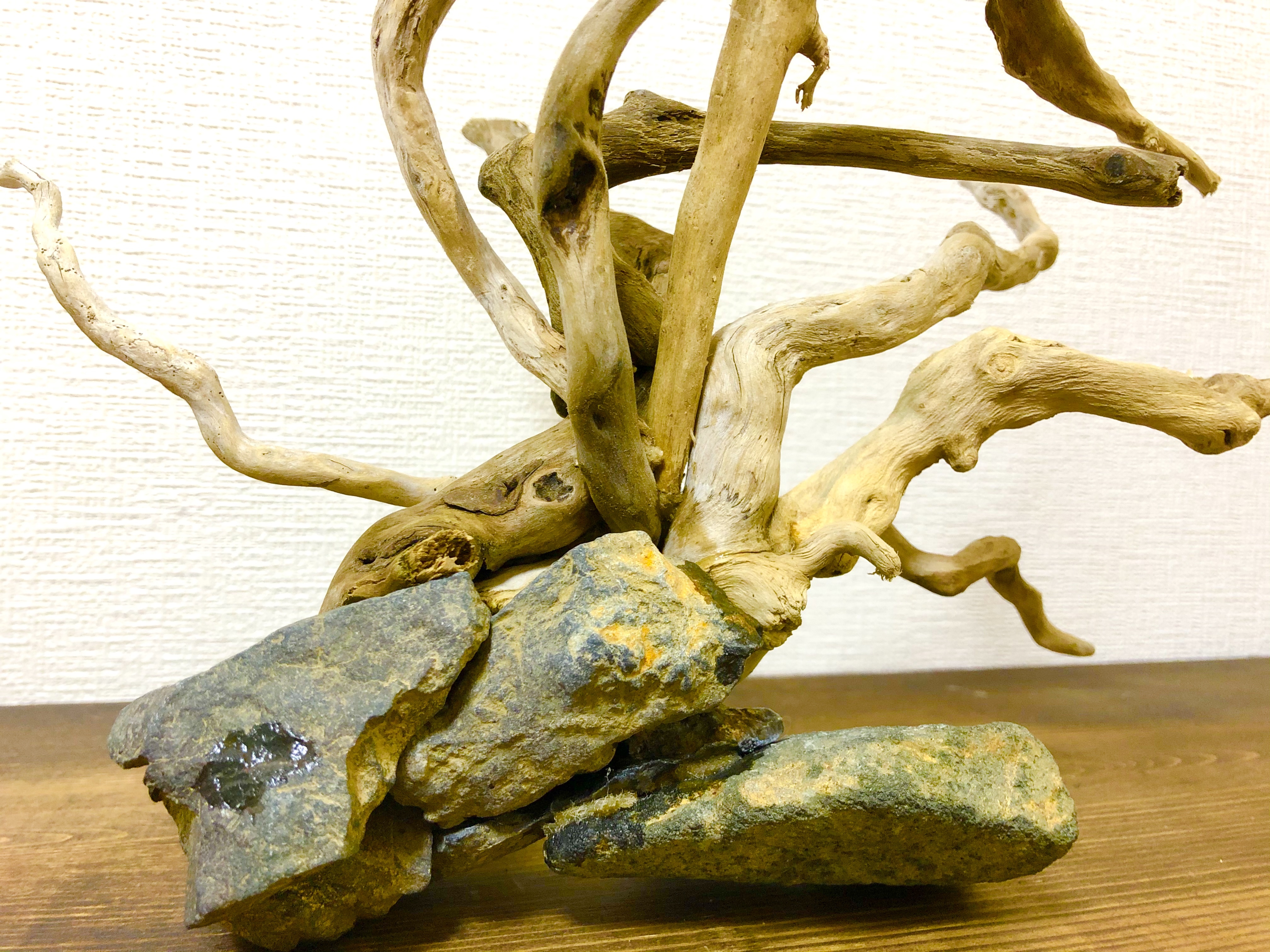 流木 A01 溶岩石セット Teto Drift Wood