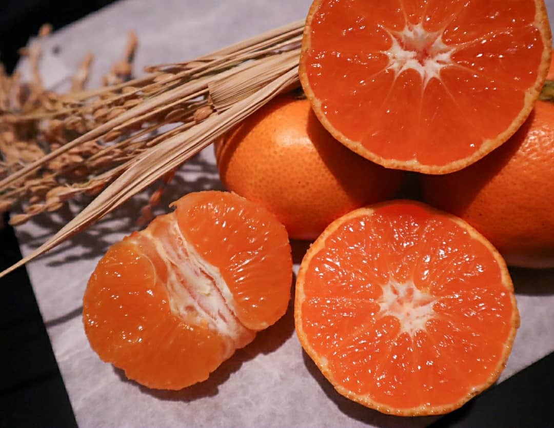 昭和レトロ 高根島みかん a級品 10kg 化学農薬 化学肥料不使用 Loro Farm ロロファーム オンラインショップ 昭和レトロ 高根島みかん a級品 10kg 化学農薬 化学肥料不使用 Loro Farm ロロファーム オンラインショップ