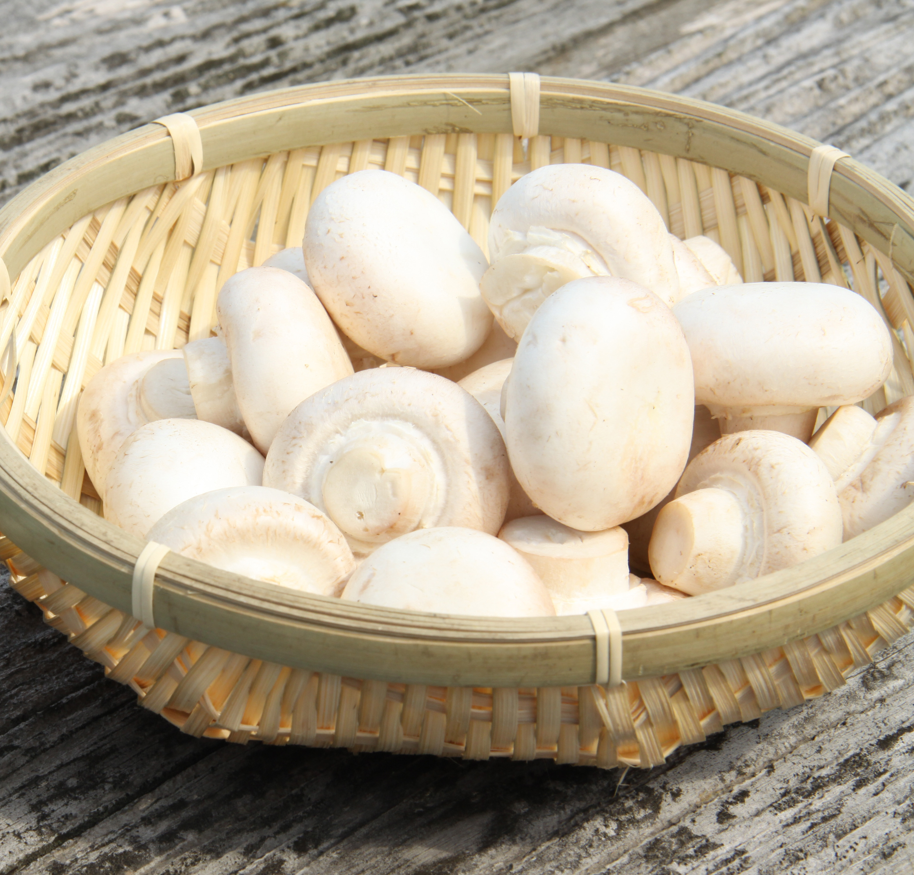 まままっシュルーム 国産ままかりとマッシュルームのペースト ままかre Project