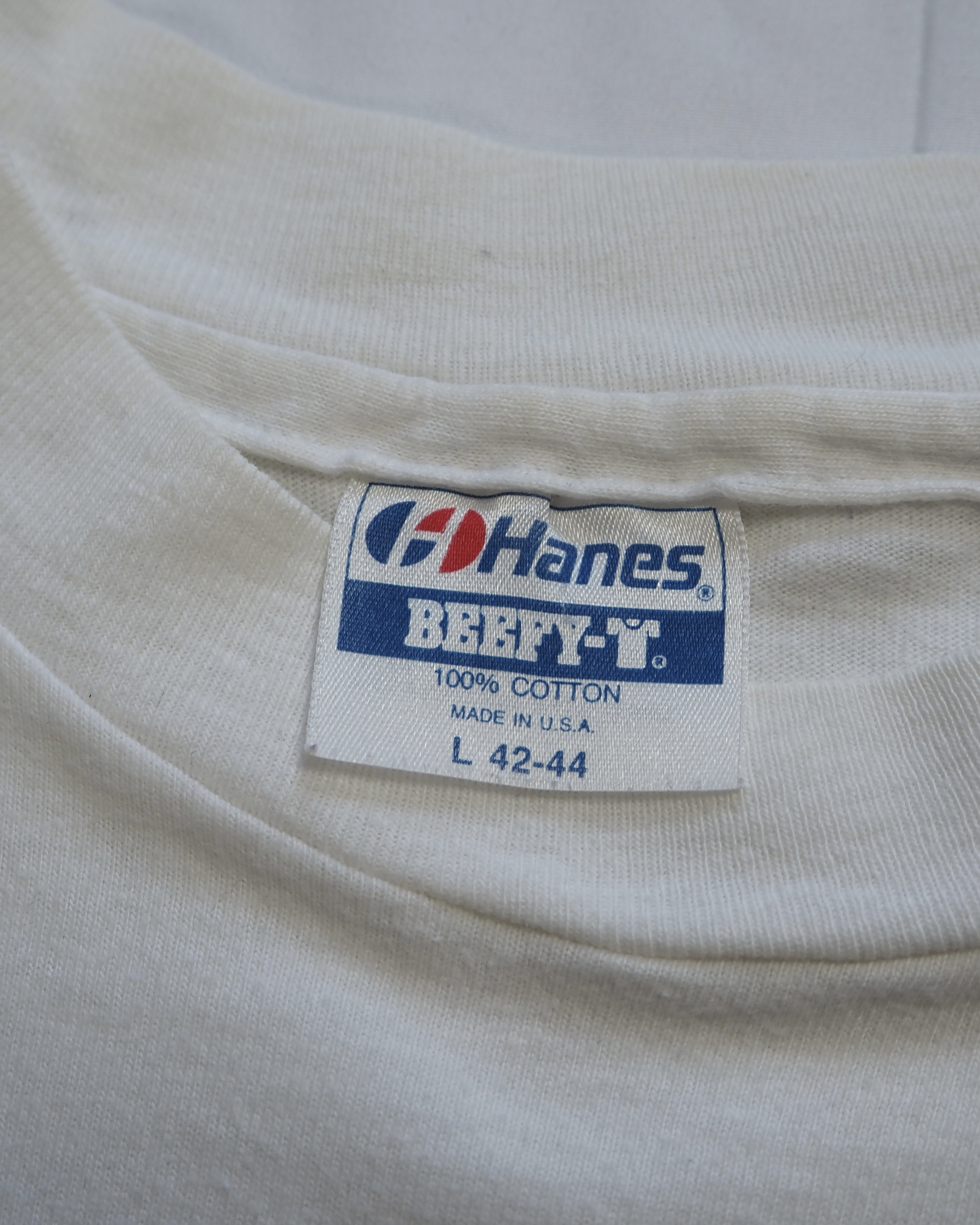 90’s Hanes アートTシャツ ルノワール 「2人の姉妹」 の画像 10