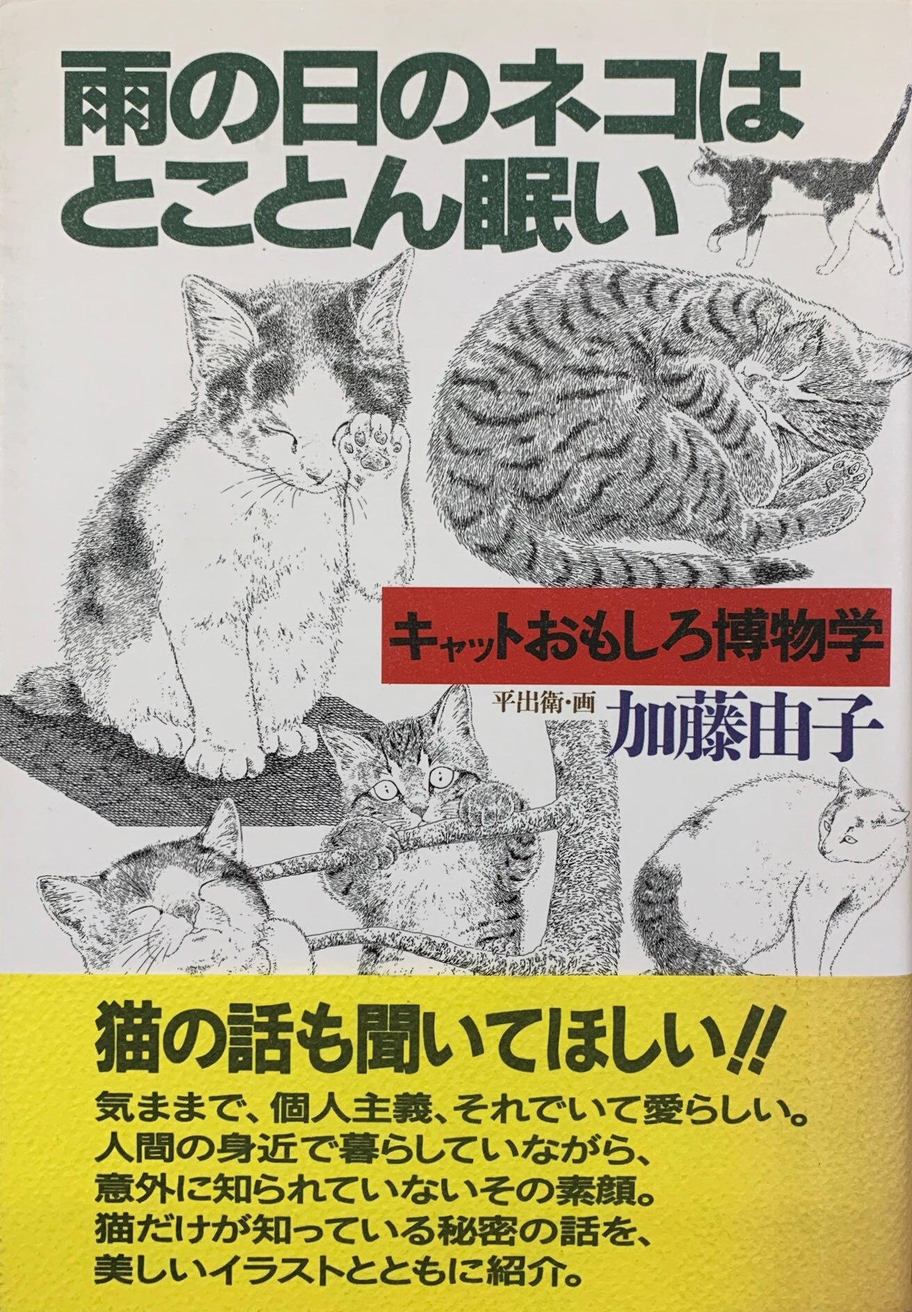 雨の日はネコはとことん眠い 単行本 帯付き 猫本サロン 京都三条サクラヤ 雨の日はネコはとことん眠い 単行本 帯付き 猫本サロン 京都三条サクラヤ