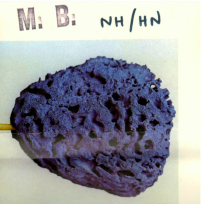 MAURIZIO BIANCHI - NH / HN CD - 画像1