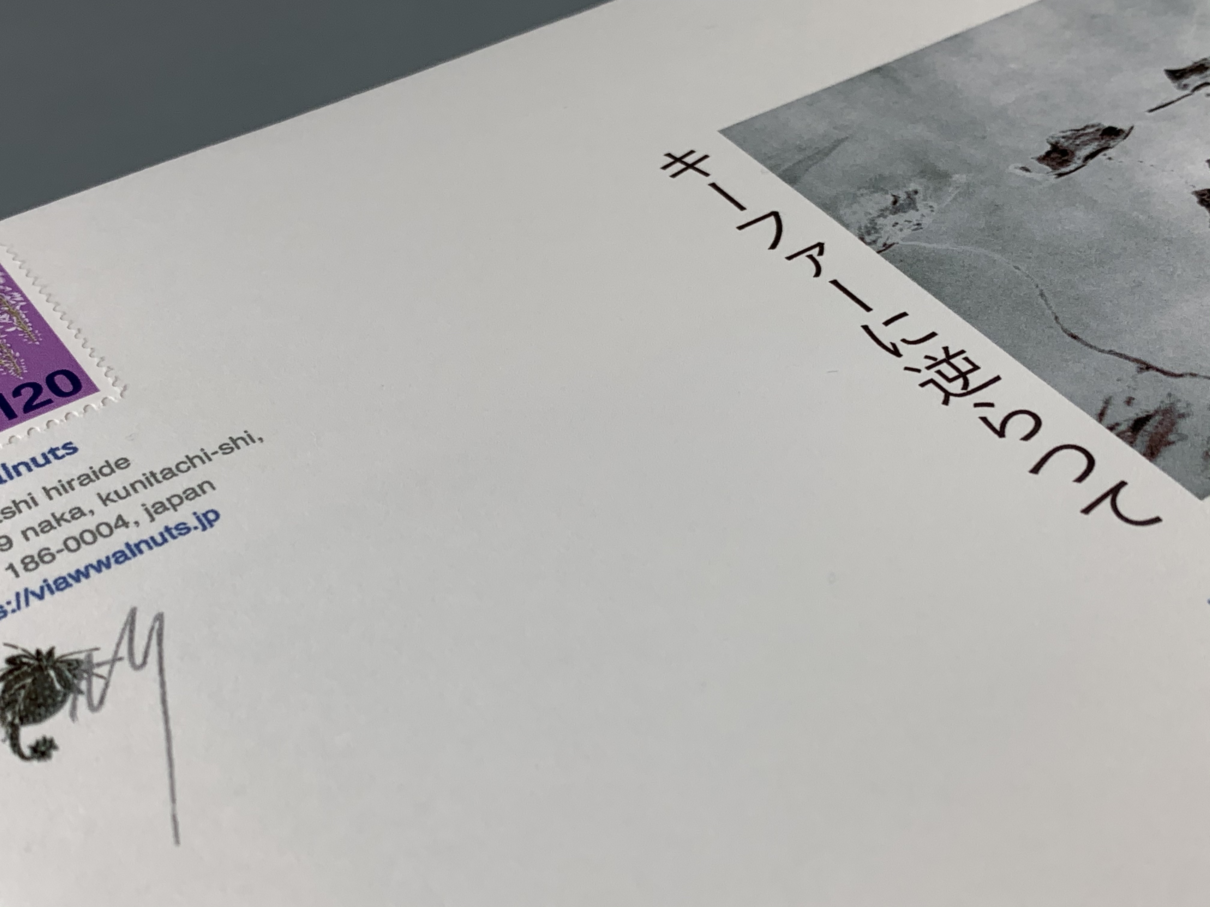 キーファーに逆らつて 飛行と秤量のための擬ソネット Vww27 Store Via Wwalnuts