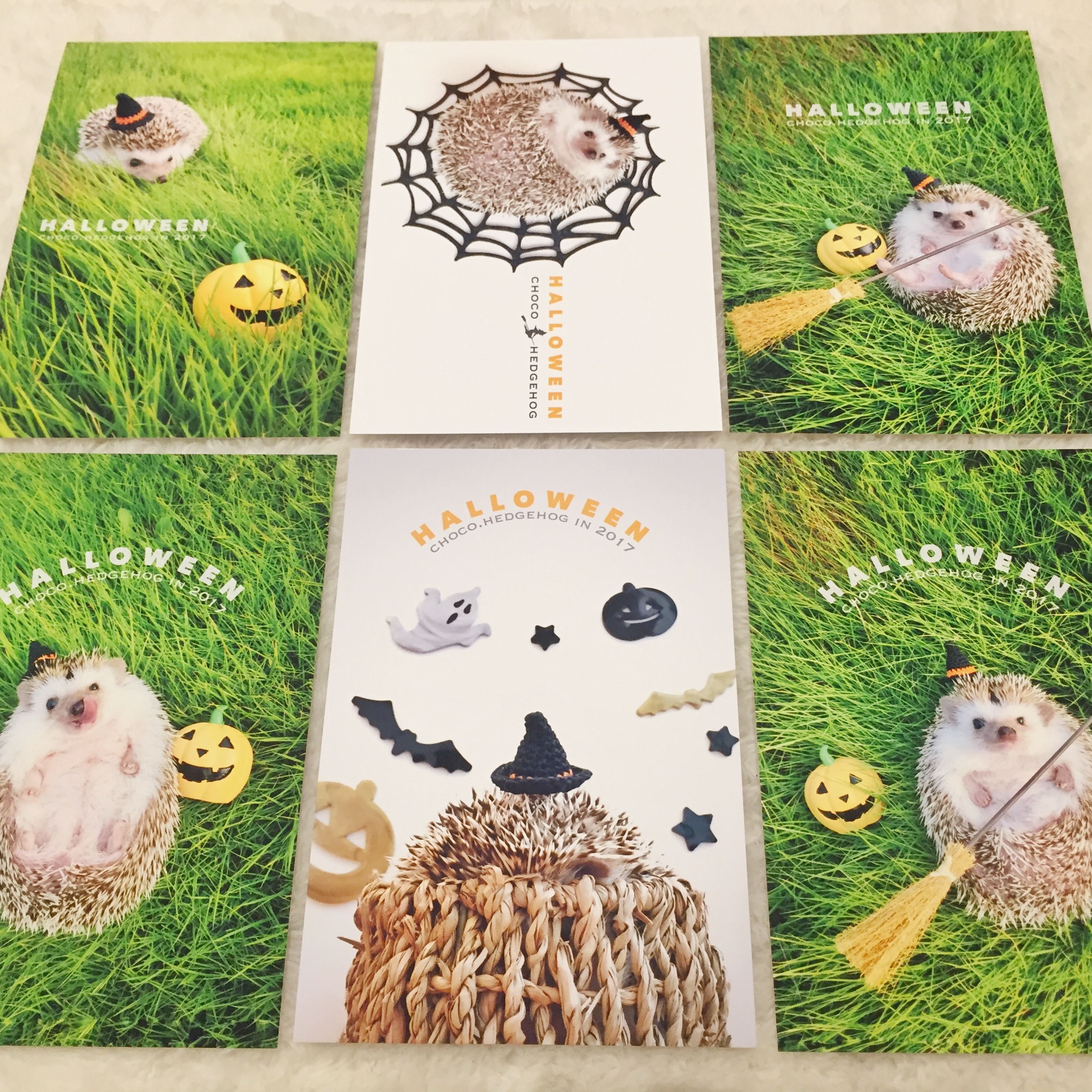 ハリネズミ ハロウィンポストカード6枚セット Choco S Studio