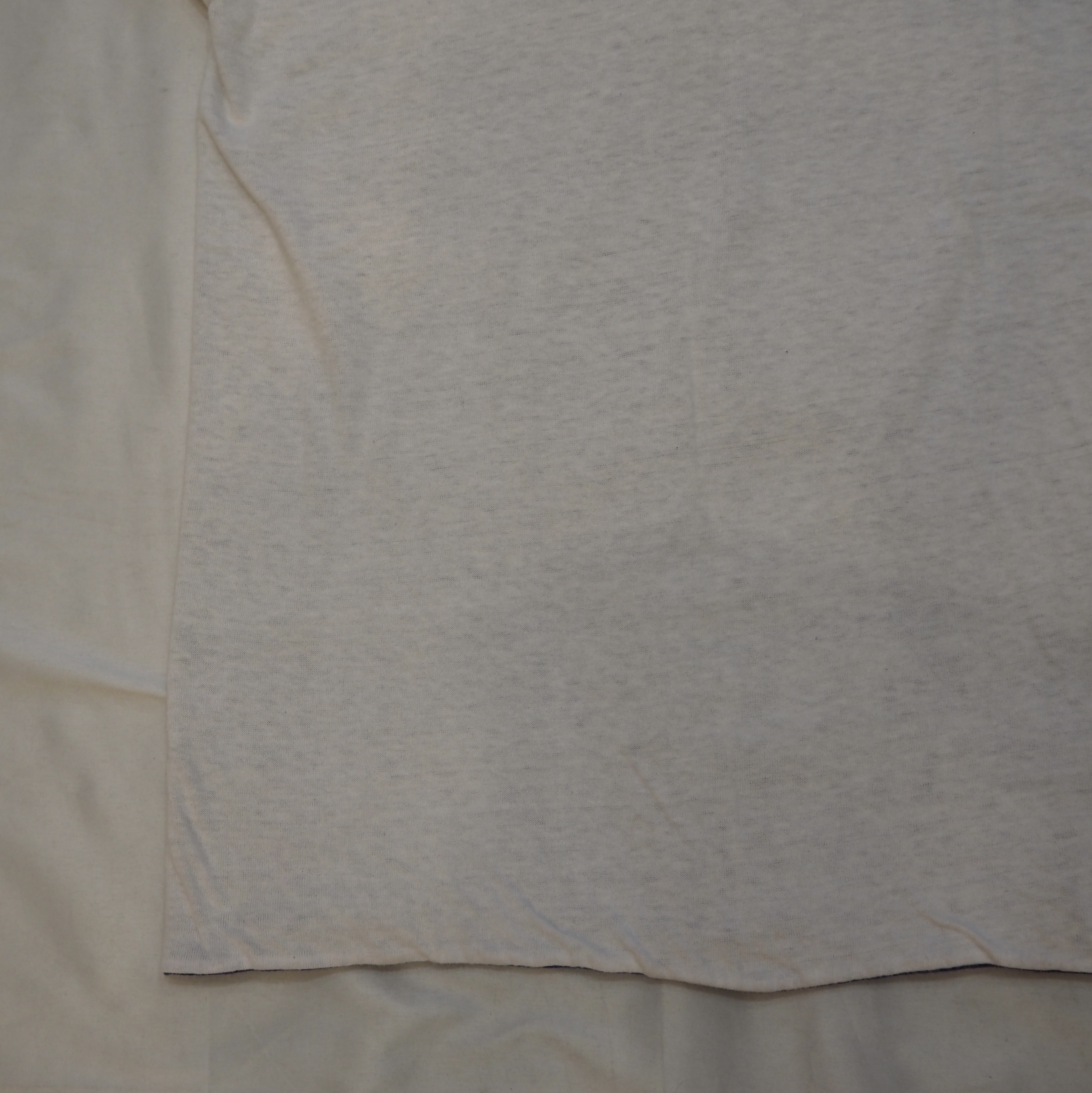 60’s Wilton ダブルフェイス Tシャツ ブルー×ホワイト の画像 10