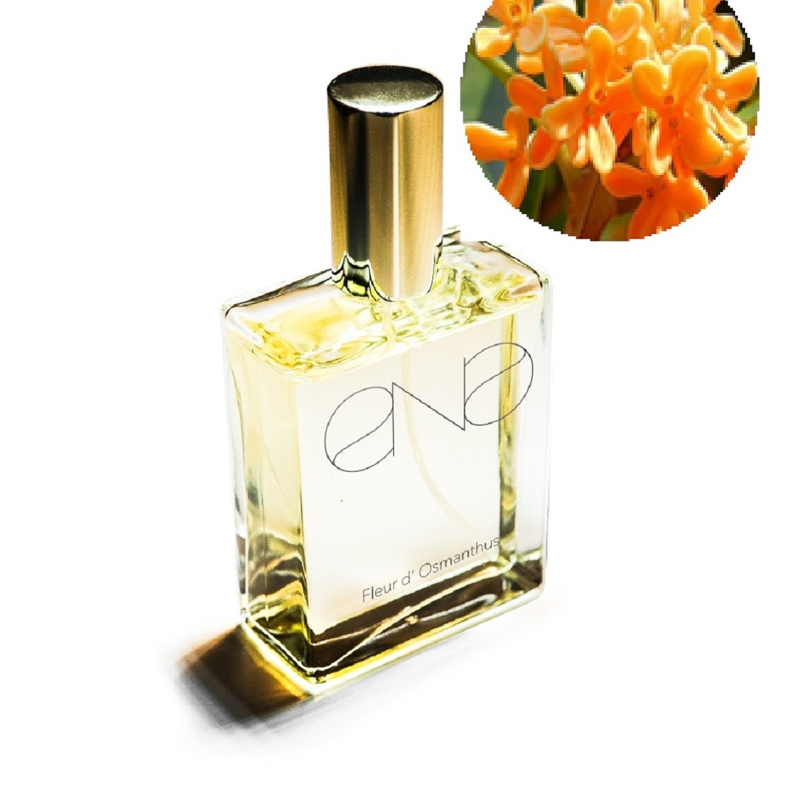金木犀 キンモクセイ 香水 Ena エナ フルール ド オスマンサス オードパルファム 50ml Runni