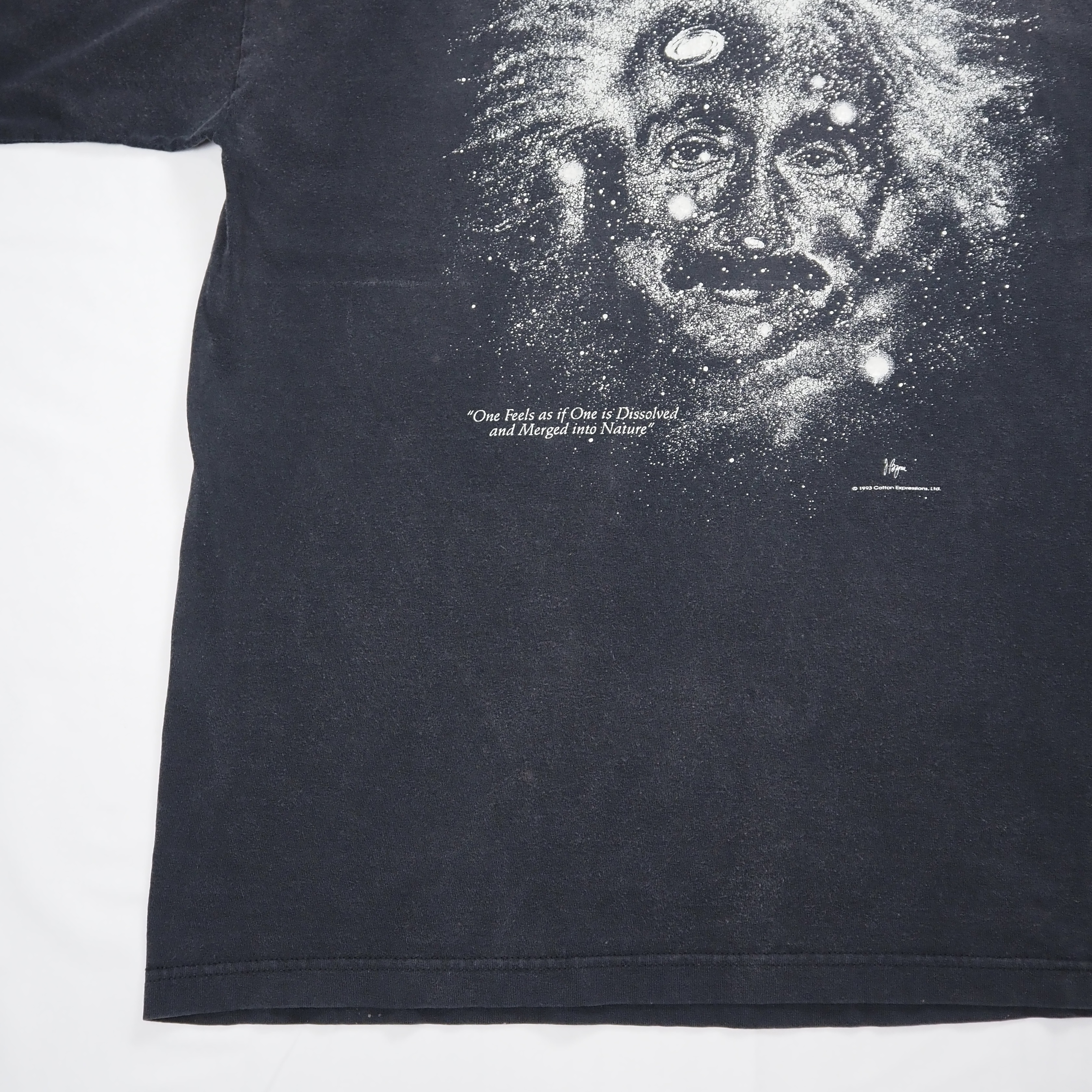 90’s アインシュタイン Tシャツ XL ブラックフェード の画像 13