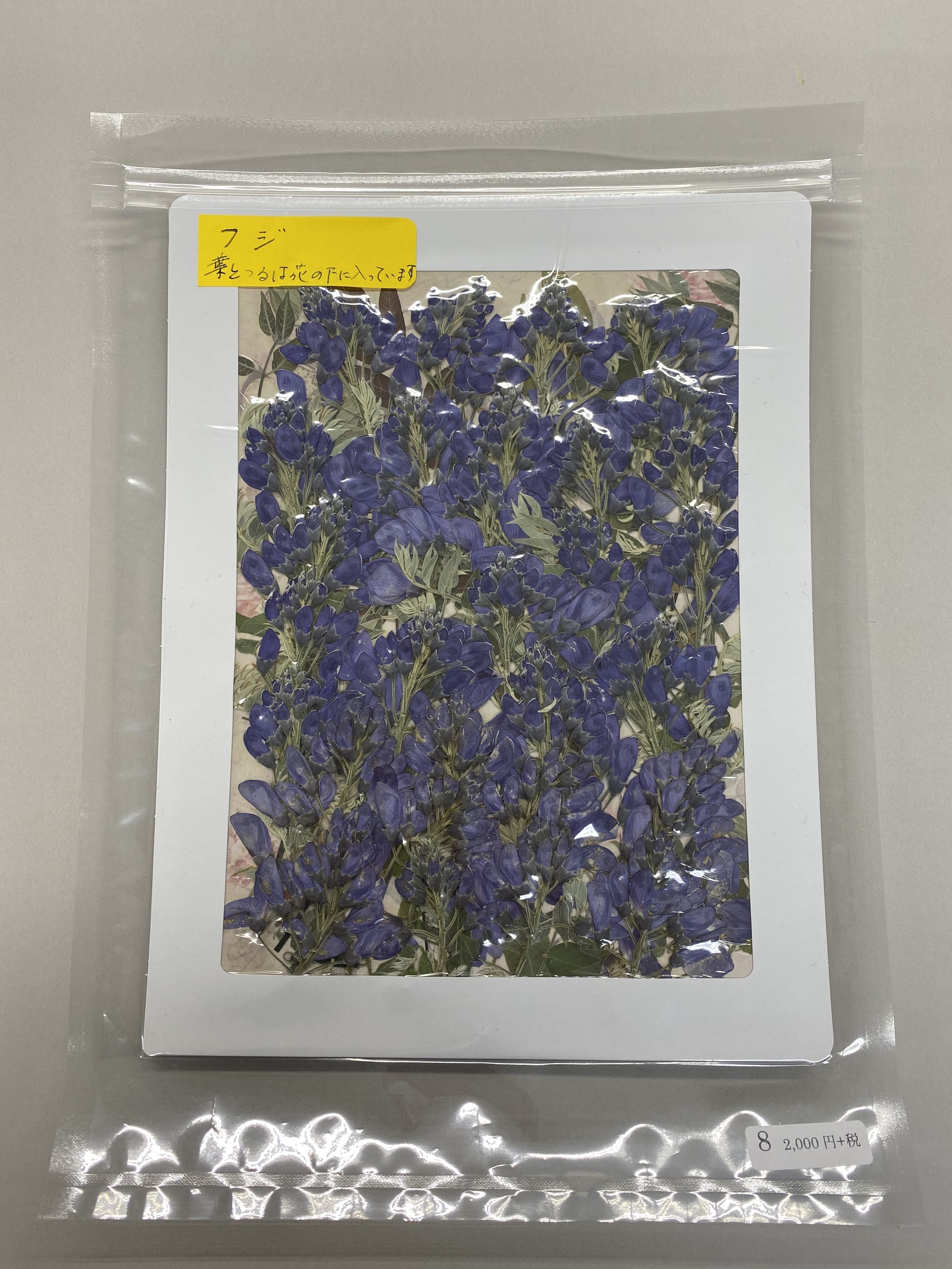 押し花パック フジ 花と緑で彩る暮らし 押し花パック フジ 花と緑で彩る暮らし