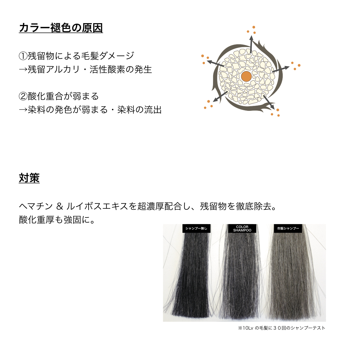 Atelieroono カラーケアシャンプー 詰め替え用 400ml Atelier Oono Atelieroono カラーケアシャンプー 詰め替え用 400ml Atelier Oono