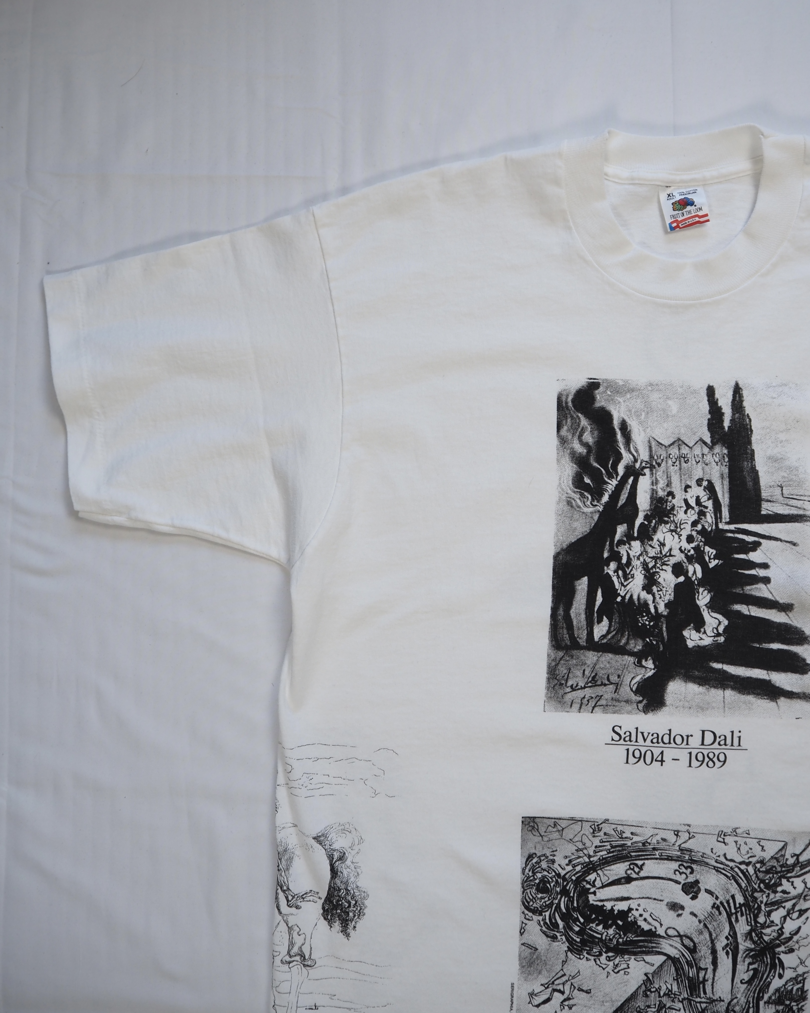 90's Fruits of the loom アートTシャツ ダリ 総柄プリント XL の画像 3