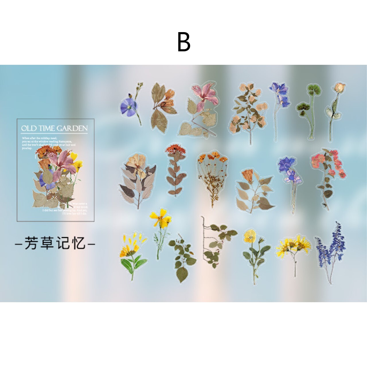 N29 Pet素材 シール 全6種 きのこ 蝶 シダ 果樹 花柄 羽 素材 透明 ステッカー コラージュ ジャンクジャーナル Classy クラッシー N29 Pet素材 シール 全6種 きのこ 蝶 シダ 果樹 花柄 羽 素材 透明 ステッカー コラージュ ジャンクジャーナル Classy クラッシー