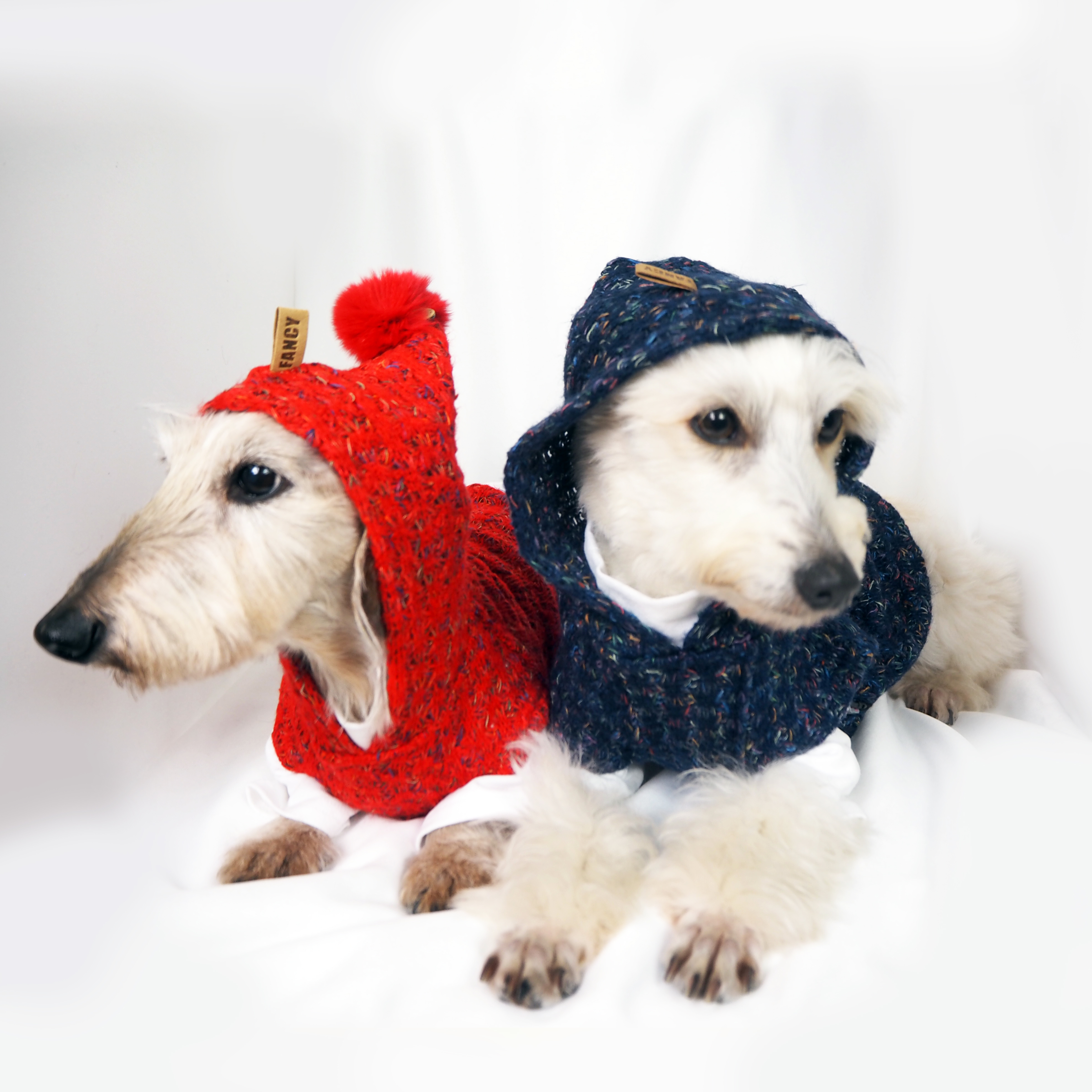 犬服 ドッグウェア Fancy House オーガニックコットンのインナー付きフーディーニットベスト Npo法人ペット里親会noel S 犬服 ドッグウェア Fancy House オーガニックコットンのインナー付きフーディーニットベスト Npo法人ペット里親会noel S