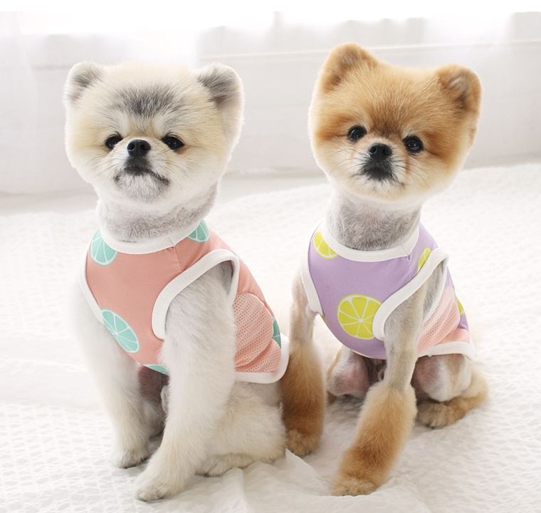 レモンタンクトップ S Xl 2color 犬服 新作 夏 可愛い 犬の服 ドッグウェア ペット 涼しい 小型犬 中型犬 ワンコ服 ペット用品ショップ Nari Pet