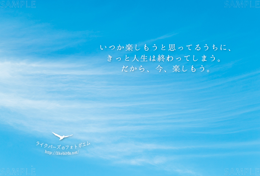 022 いつか楽しもうと思ってるうちに きっと人生は終わってしまう だから 今 楽しもう ライクバーズ ショップ 022 いつか楽しもうと思ってるうちに きっと人生は終わってしまう だから 今 楽しもう ライクバーズ ショップ