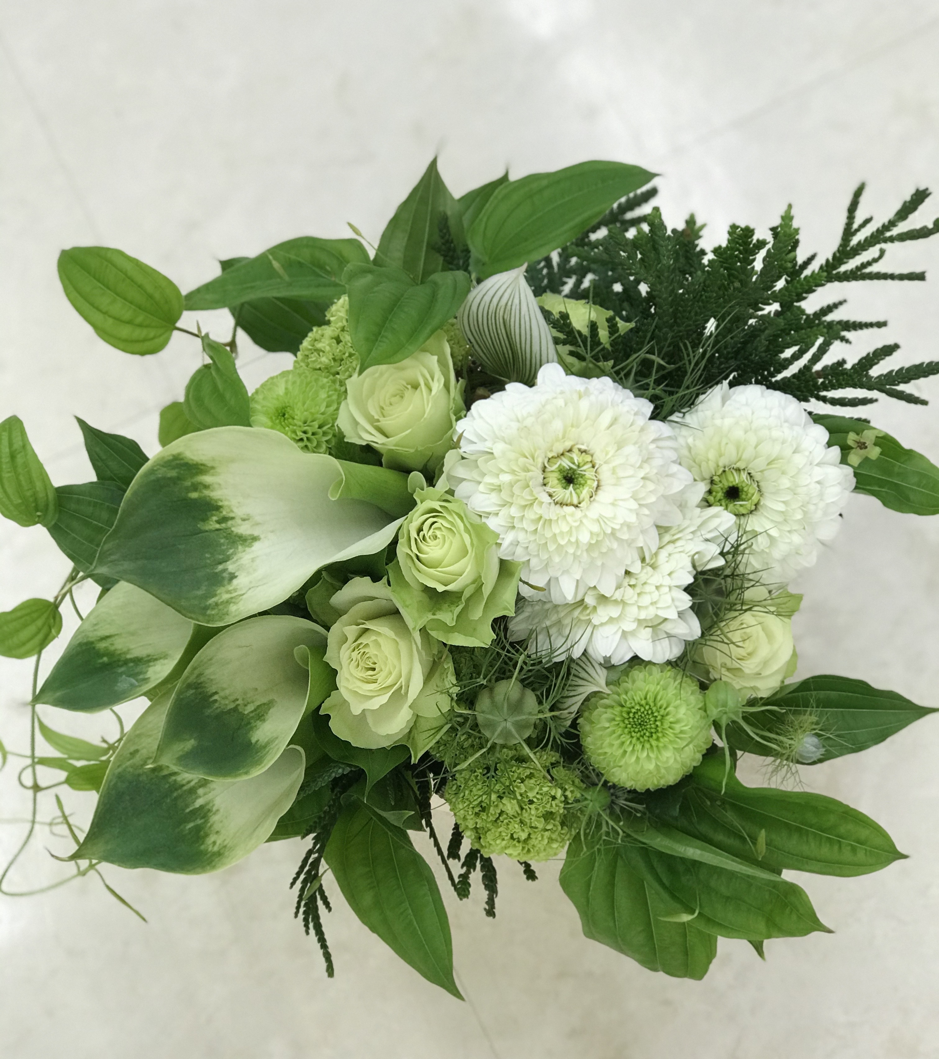 白とグリーンのアレンジメント Piccolo Box 5000円税込 Kamonflower 白とグリーンのアレンジメント Piccolo Box 5000円税込 Kamonflower
