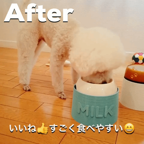 送料無料 愛犬サイズで作るボウルスタンド Sサイズ 新色チョコブラウン フードスタンド 洗える フードテーブル ドッグフード 食器台 愛犬careグッズ Dogsoxx ドッグソックス 送料無料 愛犬サイズで作るボウルスタンド Sサイズ 新色チョコブラウン フードスタンド 洗える フードテーブル ドッグフード 食器台 愛犬careグッズ Dogsoxx ドッグソックス
