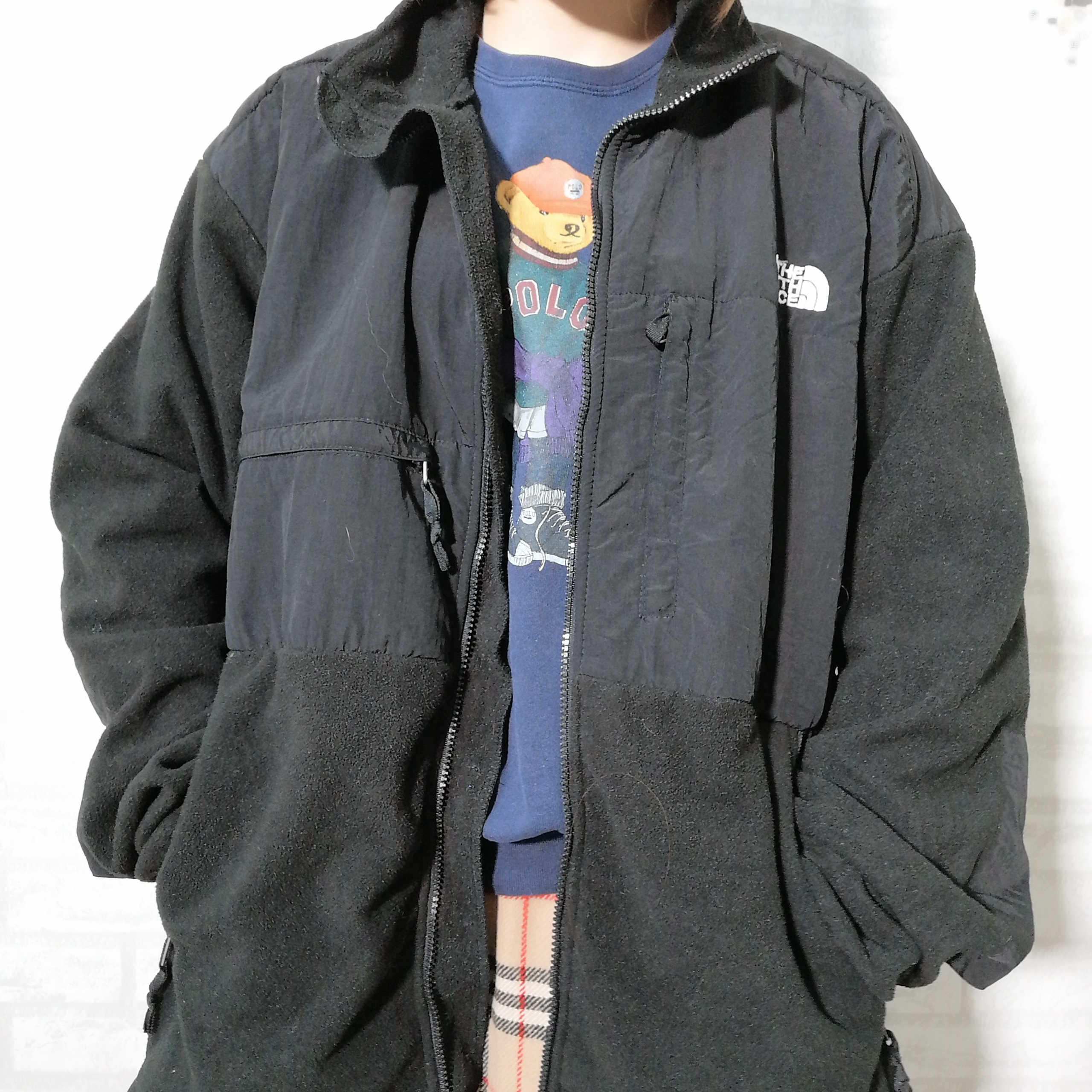 polartec the north face