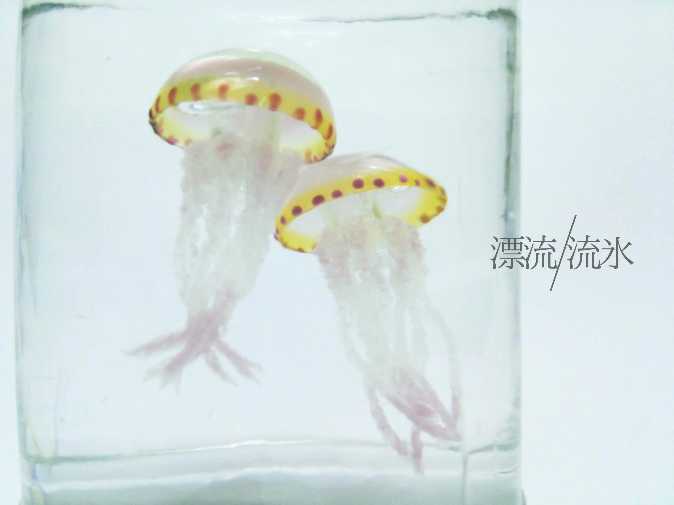 Fake Jellyfish ムラサキクラゲ 漂流 流氷