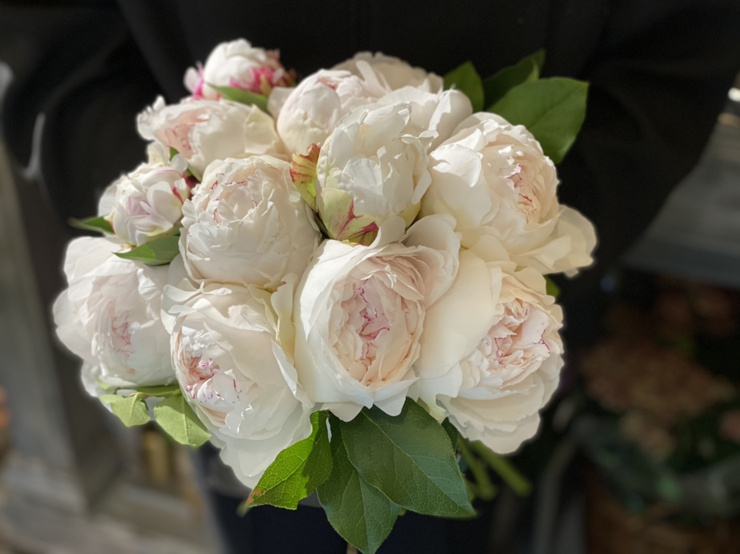 母の日ギフト ふわっふわの白い芍薬ブーケ Fleur Atelire Posy