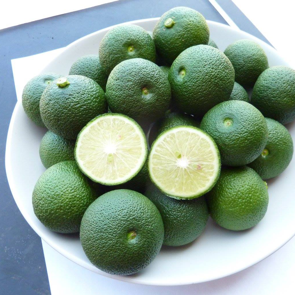 幻の柑橘 へべすライム X 1kg がん予防 花粉症対策 へべすライム