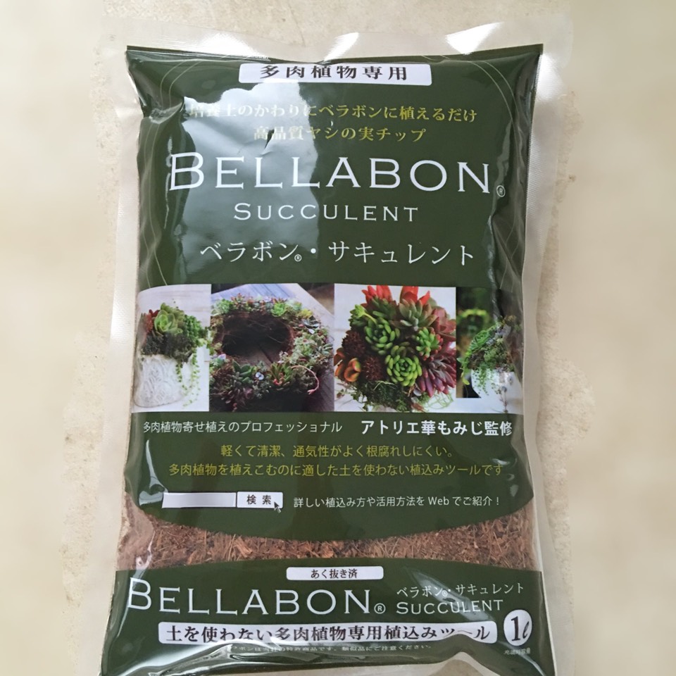 【ベラボンサキュレント】多肉植物ギャザリング寄せ植え用1リットル - 画像1