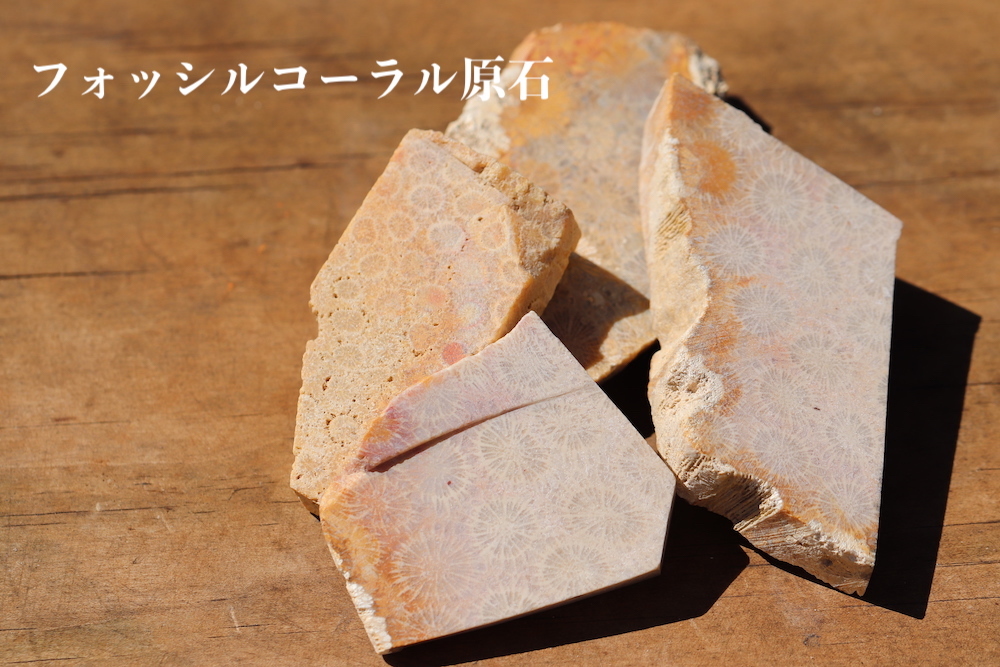 研磨用 インドネシア産フォッシルコーラル原石 Maktub Stone For Creators 研磨用 インドネシア産フォッシルコーラル原石 Maktub Stone For Creators