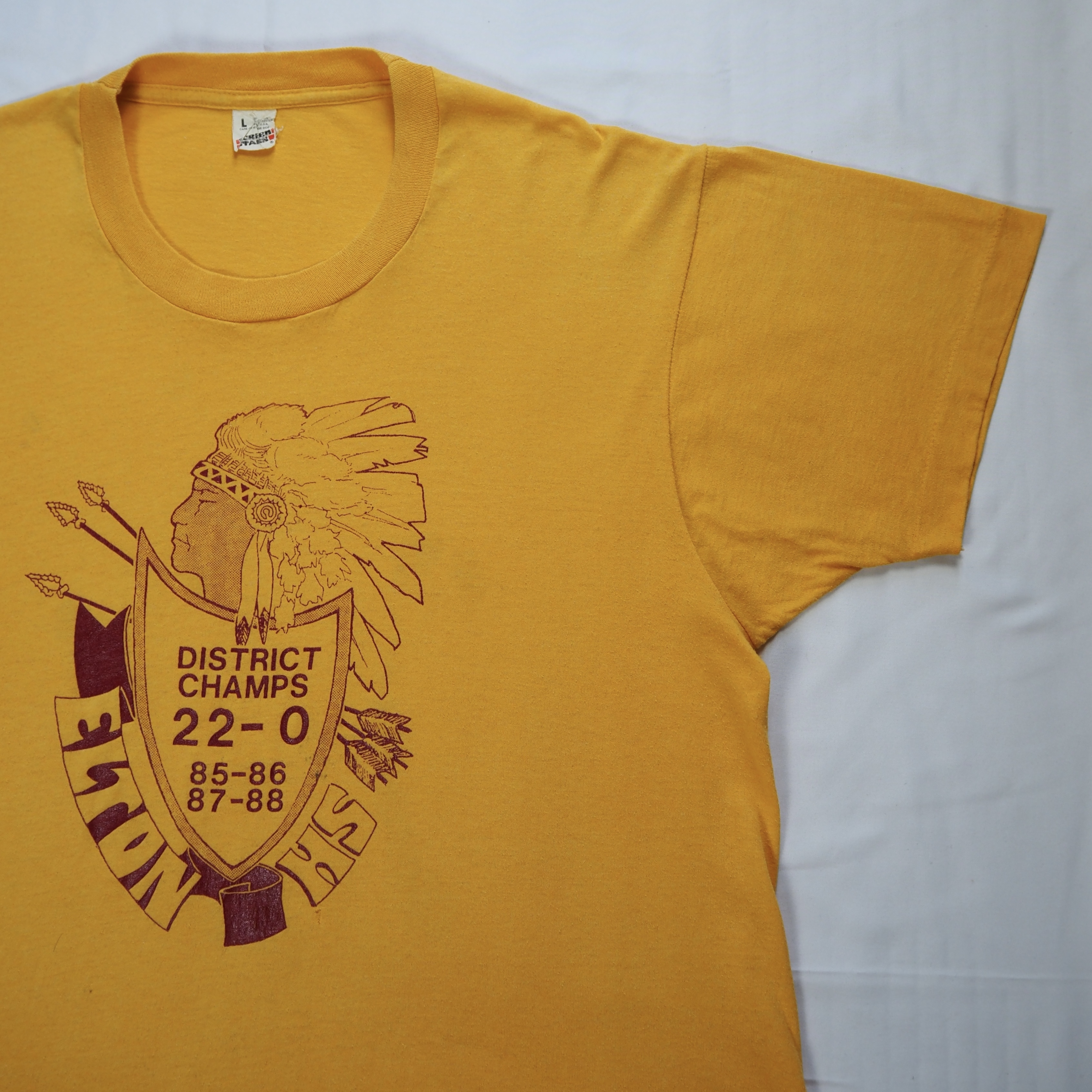 80’s スクリーンスターズ プリントTシャツ Lサイズ ネイティブアメリカン の画像 4