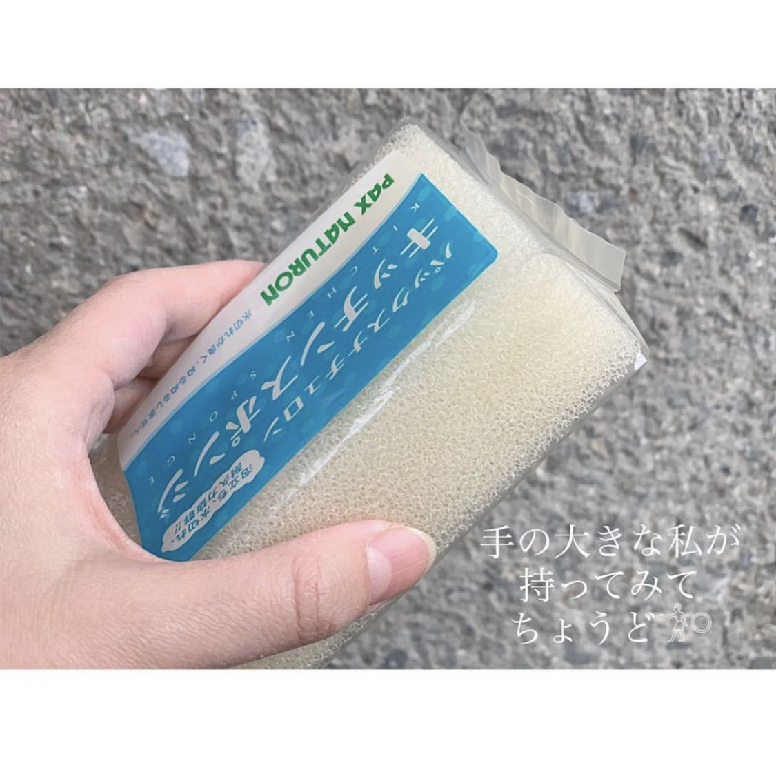 パックスナチュロン キッチンスポンジ ホワイト 暮らし道具と服のお店 Zoo