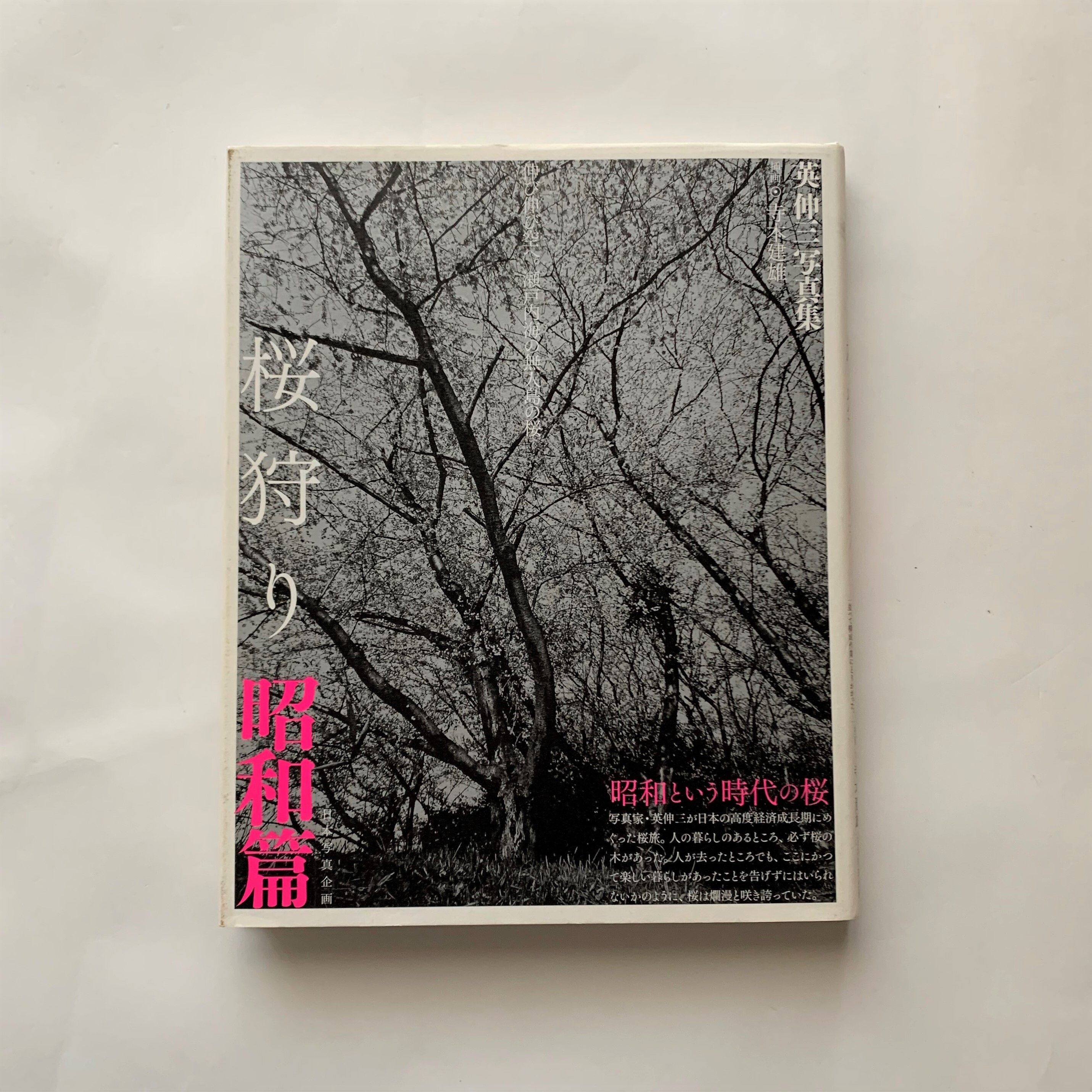 Images Of 桜狩り Japaneseclass Jp Images Of 桜狩り Japaneseclass Jp
